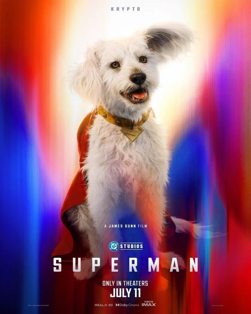 Superman (2025)
Dir. James Gunn 