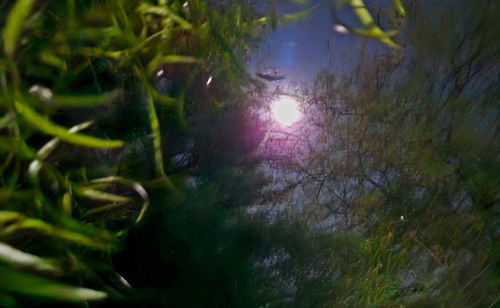 Full moon October 6, 2025