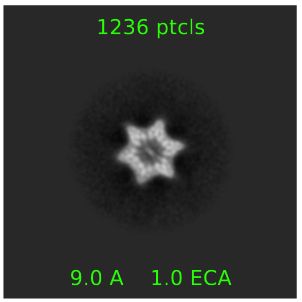 Cryo-electron micrograph image (or more properly, the average of 1,236 such images) of a 6-pointed star-shaped protein complex found in the interior of slime mold cells.