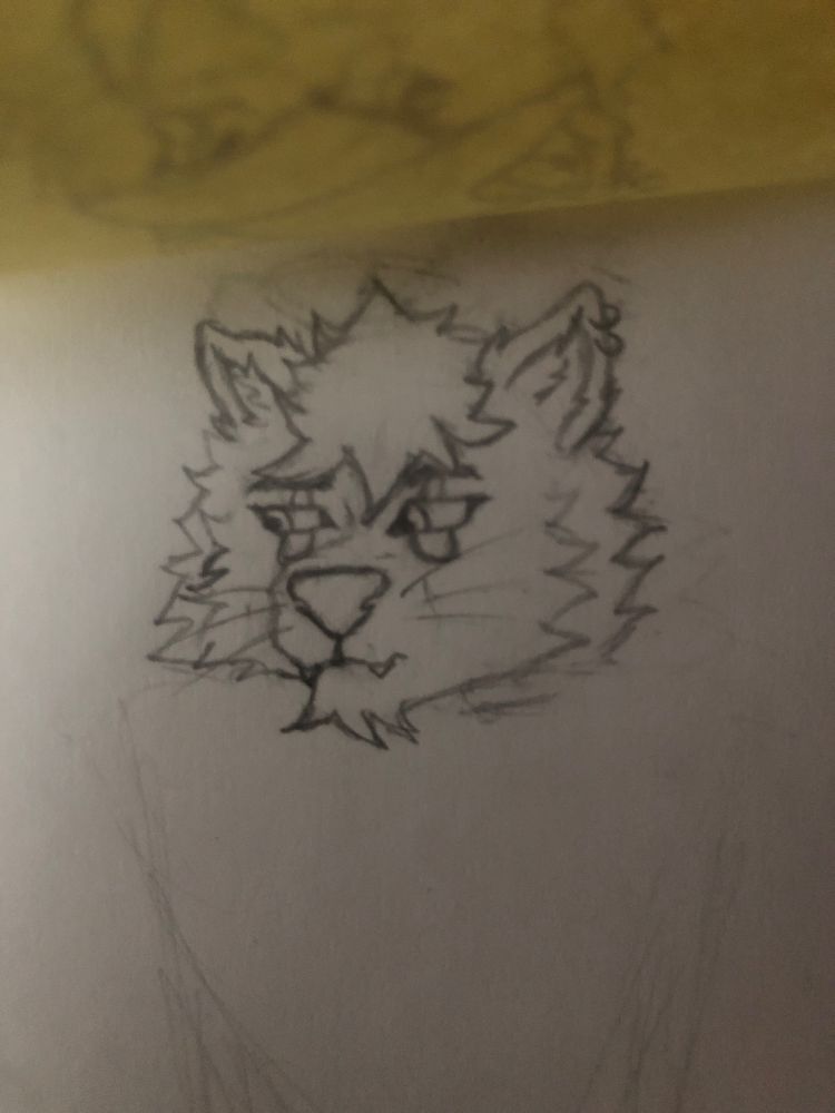 Old front shot of me definitely have more mane like the other pictures, but they eye markings are absolutely part of this