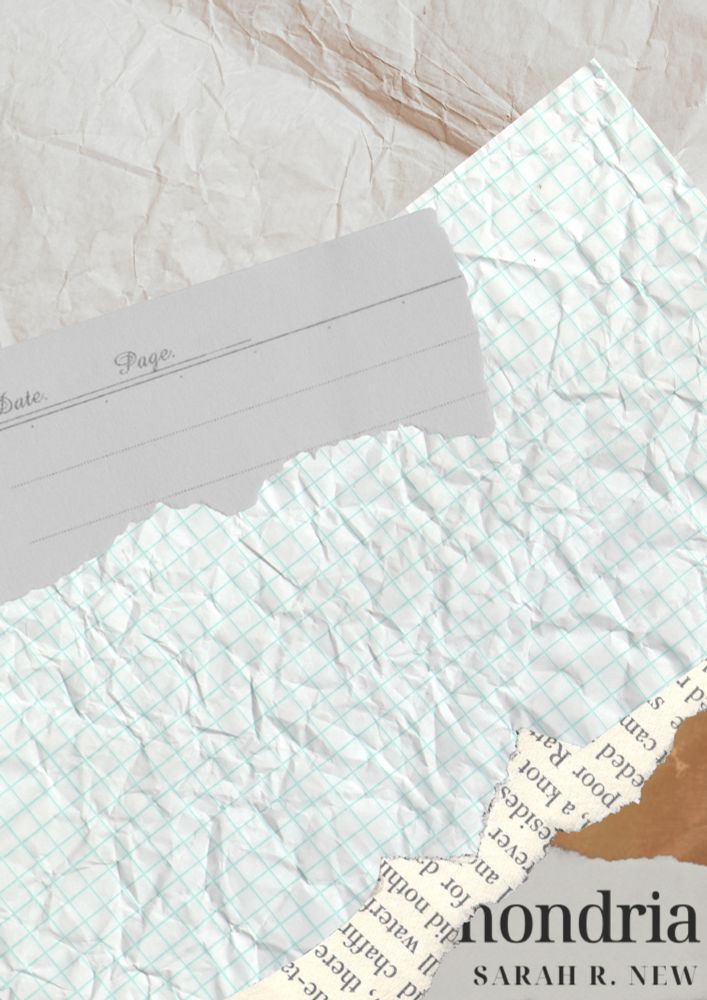 A teaser poster of Sarah's new book, covered in papers to hide the cover.