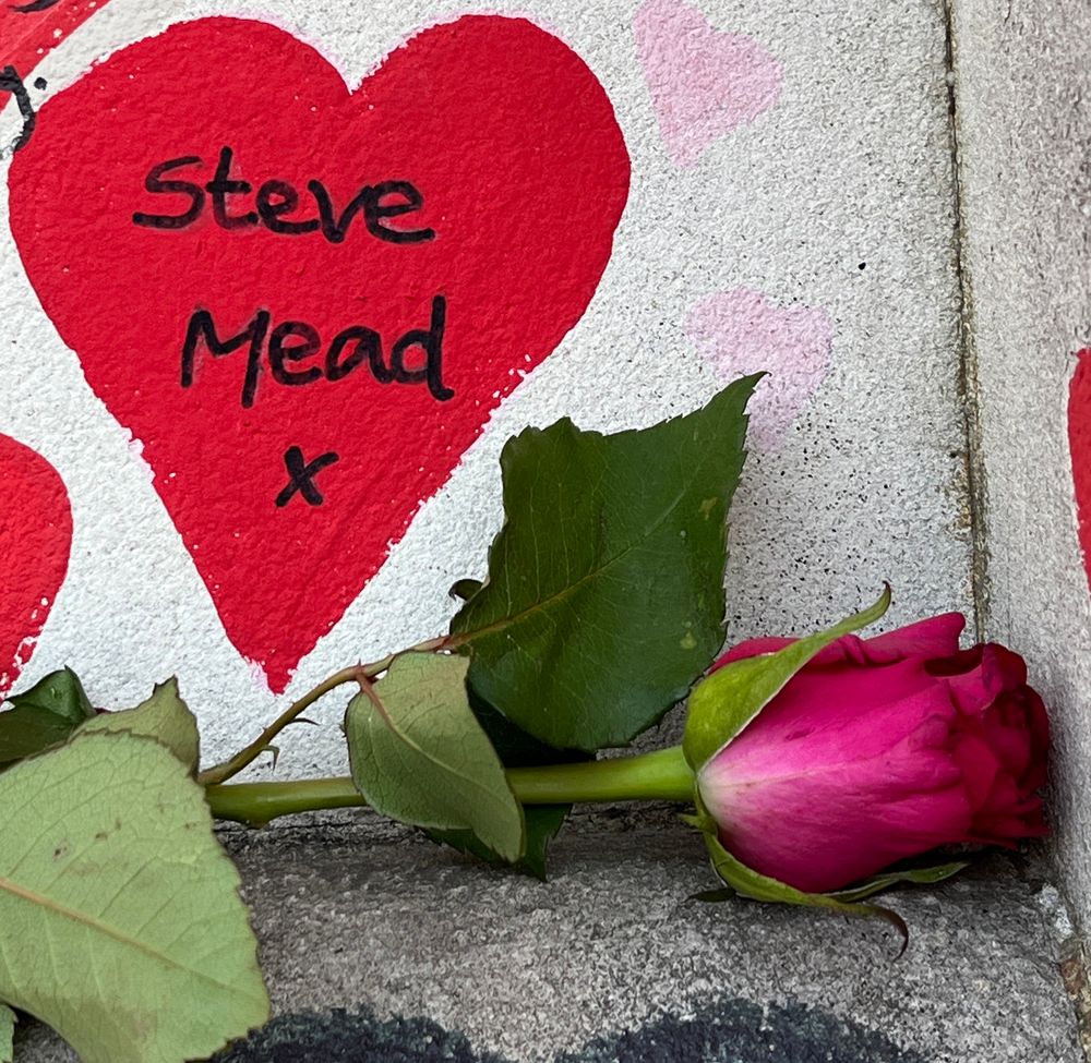 A crimson rose on a ledge in front of a bright red heart painted on a cream coloured wall. The writing in the heart says ‘Steve Mead x’