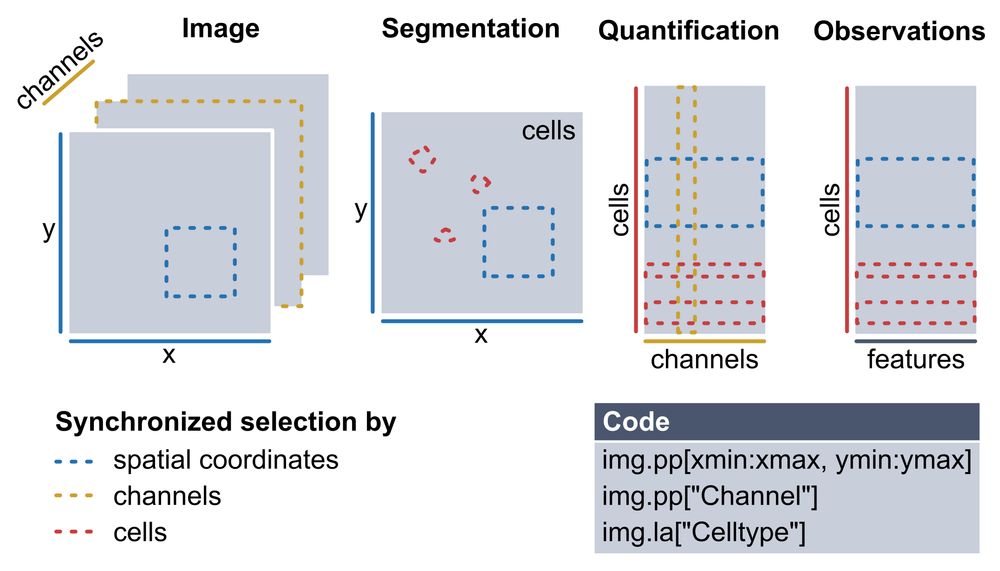 The spatialproteomics data structure enables synchronized subsetting across shared dimensions.
