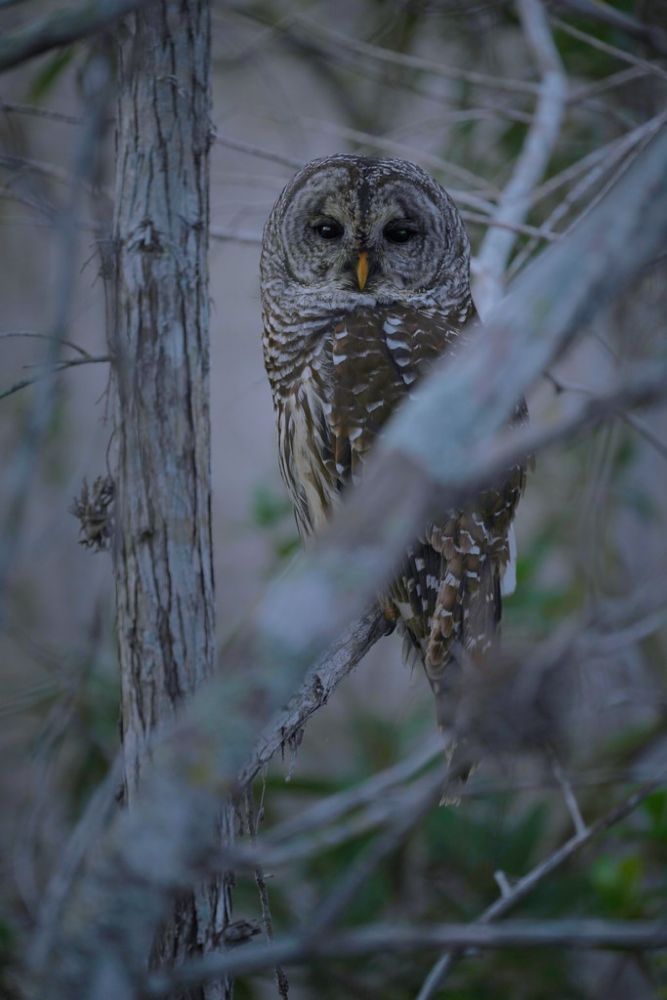 Happy #WildlifeWednesday!