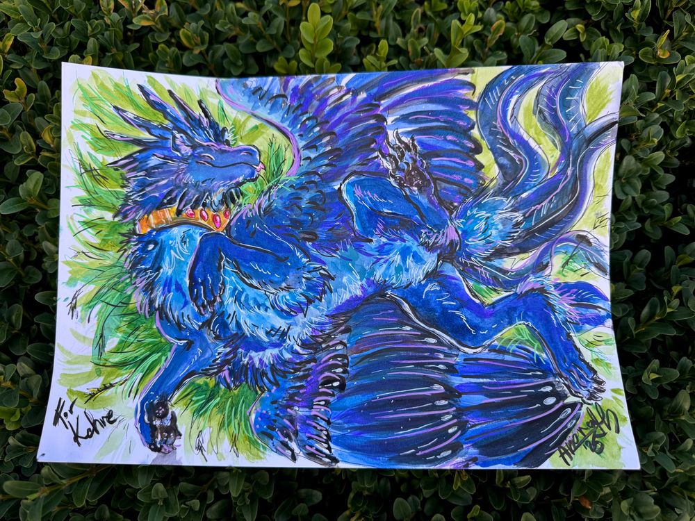 blue fluffy dragon laying on grass showing his belly!