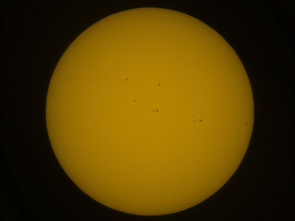 A wonderful parade of sunspots today.

Taken at 15:30 in Jersey; colour image straight from my @unistellar.bsky.social Odyssey and a mono version with some light post-processing on my phone (I think the latter shows more detail?)