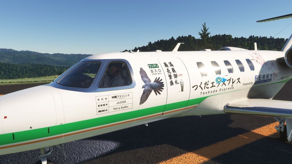 エアタクシー用機材として塗ったセスナ・サイテーションCJ4。デザイン的には初期のものなのでテクスチャに文字を貼り付けたりの簡易なレベル。DLCのホンダジェット導入後はほとんど飛んでいない。