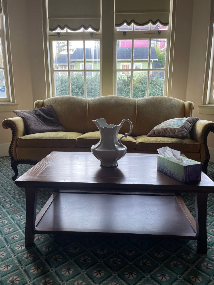 an old-fashioned parlor in cool blue light, with an old sofa in front of a large bay window. it looks like a good place to take a nap