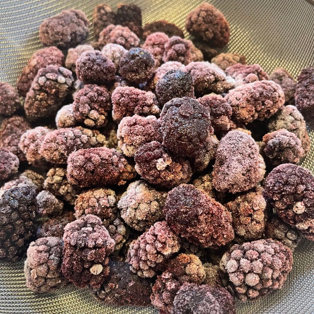 a cluster of frozen blackberries