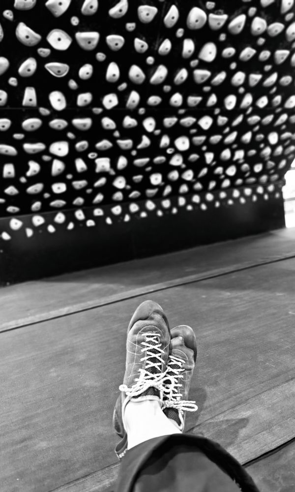SevenBays, Halifax