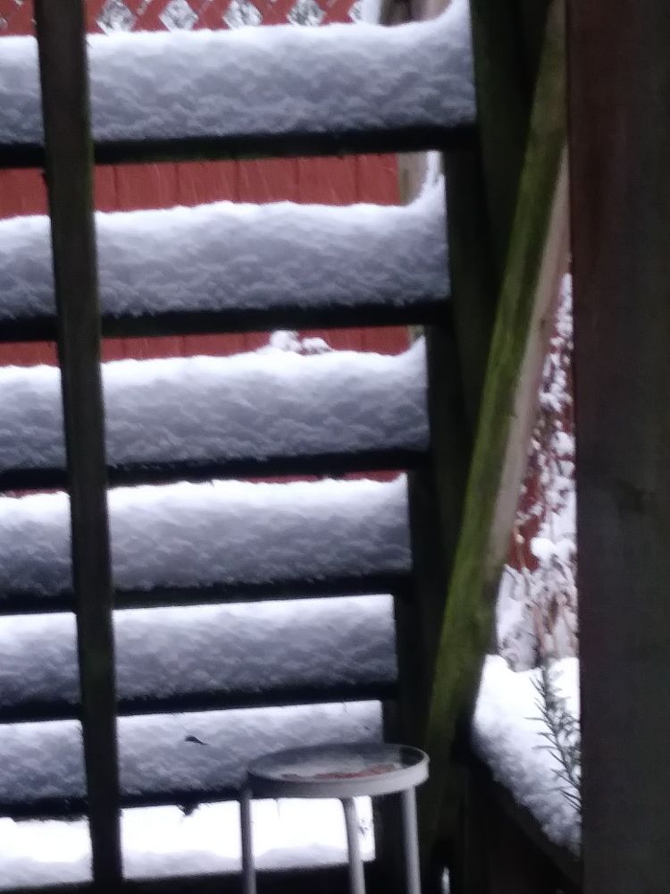 Photo of back stairs leading up to a deck with nearly 10cm of snow on it