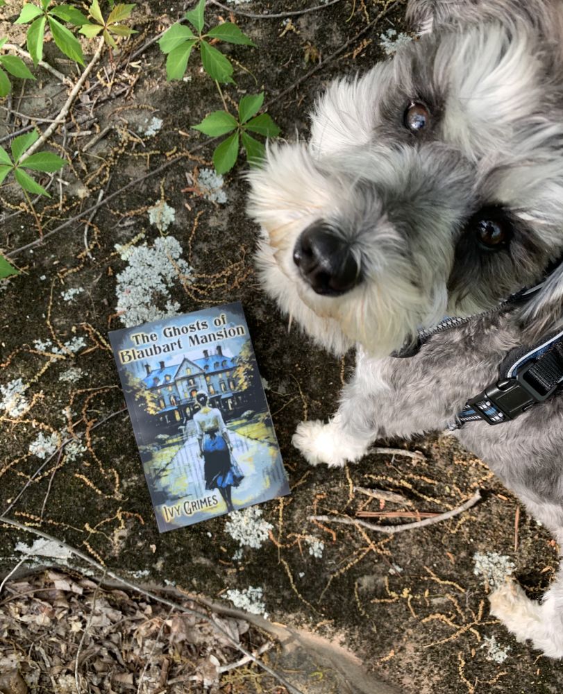 Book on a mossy rock next to a little gray dog that is looking up. Book title - The Ghost of Blaubart Mansion. The cover features a young woman approaching an ominious-looking house. 