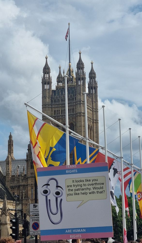 A sign from trans pride in front of the houses of Parliament. Its a picture of Microsoft Clippy and the speech bubble reads "It looks like you are trying to overthrow the patriarchy. Would you like help with that?"
The text at the top of the sign reads "TRANS RIGHTS" and it is finished at the bottom of the sign with "ARE HUMAN RIGHTS"