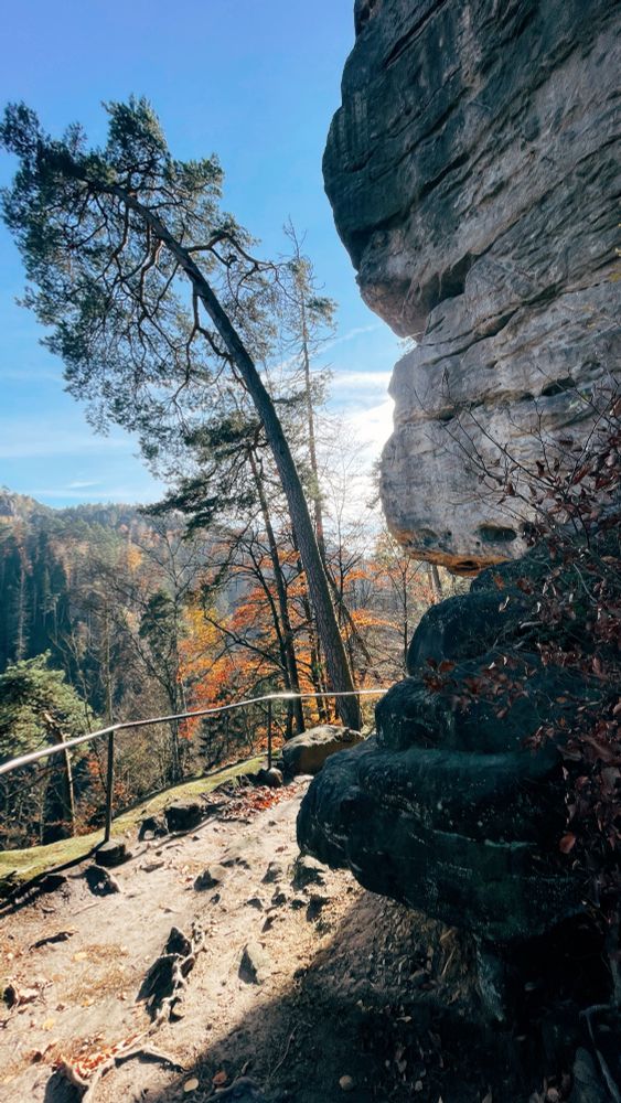 Auf der linken Seite des Bildes ist ein Baum zu sehen, dahinter scheint die Sonne. Auf der rechten Seite ist ein Felsvorsprung zu sehen.