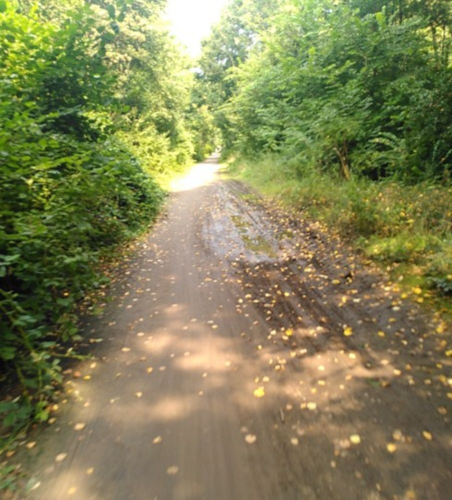 #Duisburg: Töppersee Radweg in sehr schlechtem Zustand – #Fahrrad #Rheinhausen