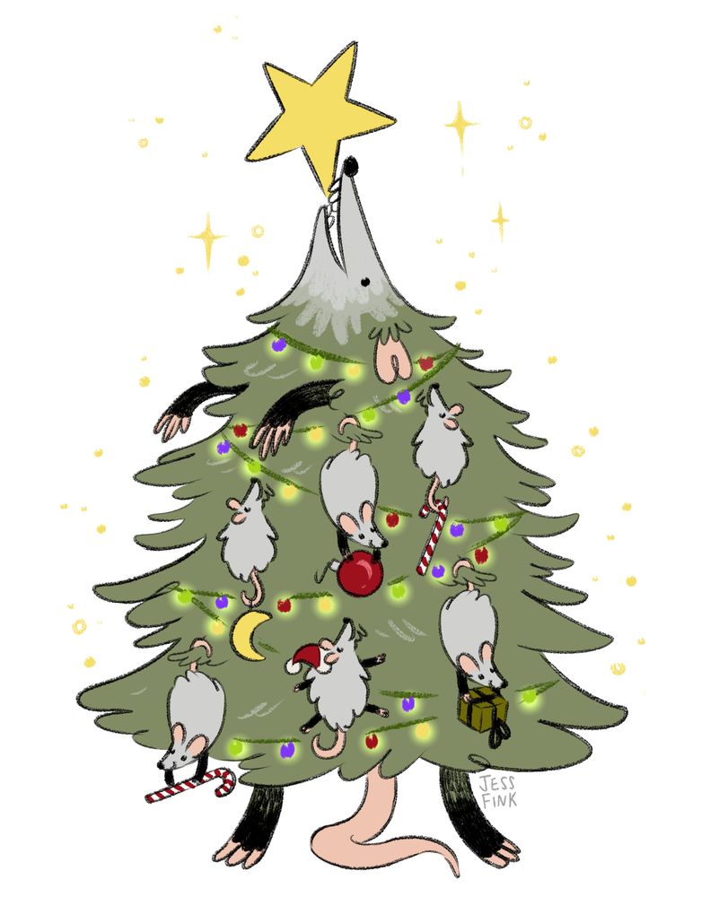 A drawing of a large Opossum mama standing upright so that she looks like a Christmas tree. Here long snoot makes the top of the tree and she holds a golden star in her teeth. She is covered in Christmas lights and baby opossums who hold ornaments and candy canes.