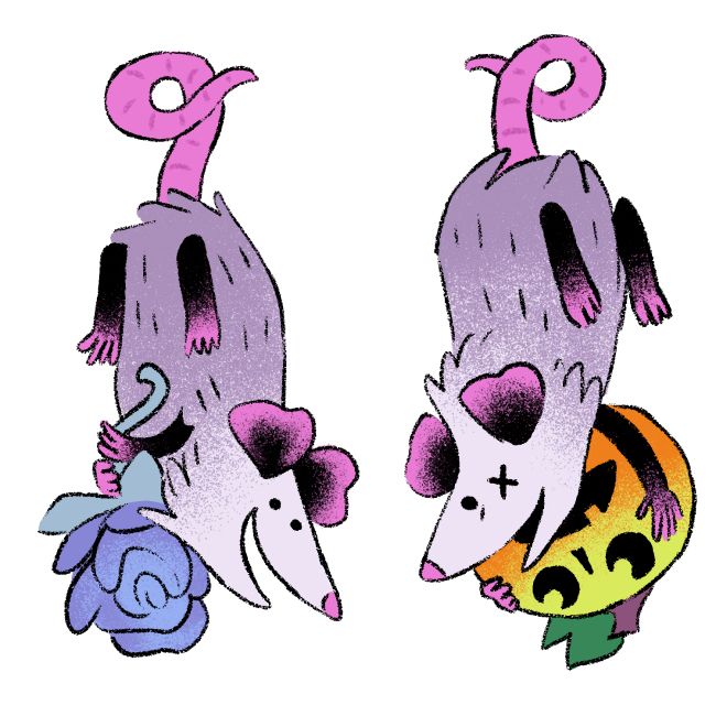 A colored drawing of two American opossums. The first opossum is hanging upside down, their tail looped (to hold onto an ear wire for an earring). They have a goofy grin on their face and they hold a purple flower in their little hands. The second opossum is in the same position, and wears the same goofy smile, but one of their eyes is an "x" and they are holding a jack o lantern upside down, with a confused look on it's face. 