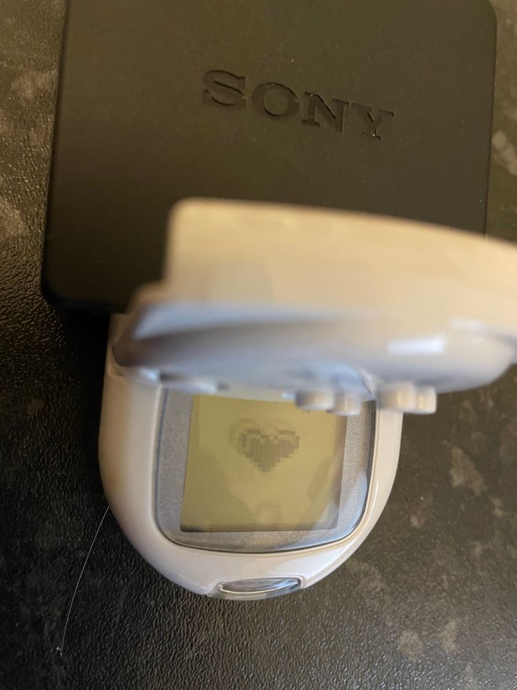 A Sony CECHZM1 Memory Card Adapter for the PS3, plugged into both a PC (offscreen) and a Sony SCPH-4000 PocketStation showing the little startup heartbeat. 💗 