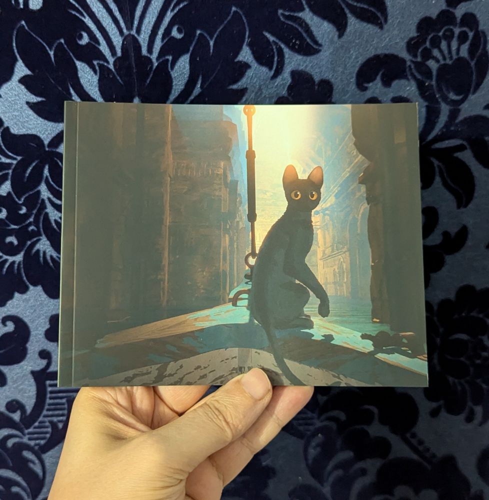 Flow. Curzon UHD Collector's Boxed Set.  Booklet. 