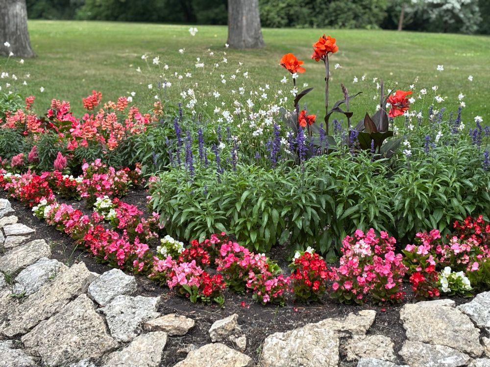 Colourful flower garden in a city park. 