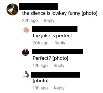 A series of comments, screenshotted from TikTok's desktop website. Usernames have been censored. First user: 