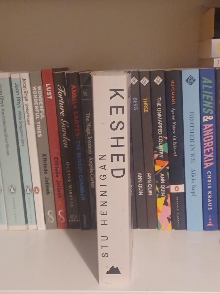 Spine on photo of the novel Keshed by Stu Hennigan