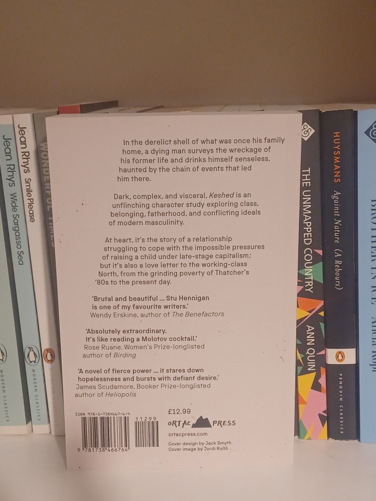 Photo of the back cover of the novel Keshed by Stu Hennigan
