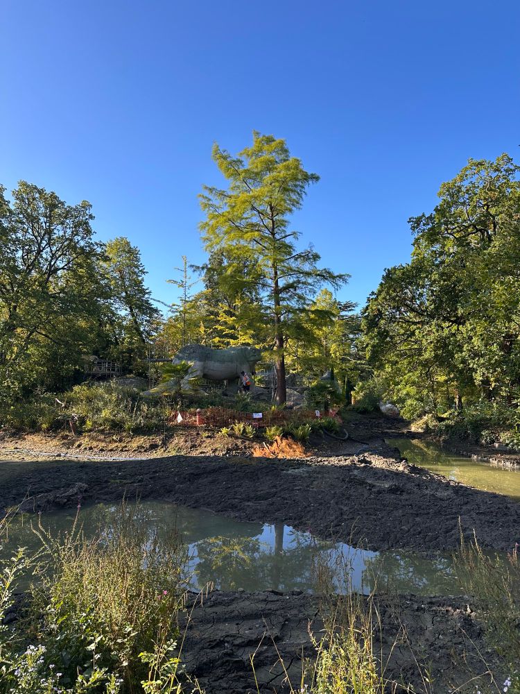 view from across the upper lake. The standing Iguanodon’s lower half has been cleaned/treated 