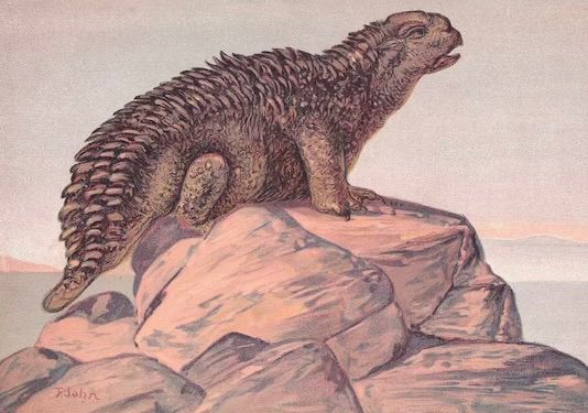 Colour illustration. A squat Hylaeosaurus sits atop a rocky outcrop, looking somewhat mournful. Its armoured spikes are more like tufts of fur, extending all the way to its strange stumpy tail. Its beaked head looks to the sky, as if asking the creator/illustrator why it has been given such short limbs 