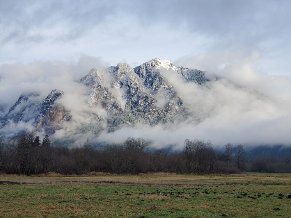 Early morning shot of mountain with grassland in the foreground. The mtn is frosted with a little bit of snow and fog surrounds its entirety.
