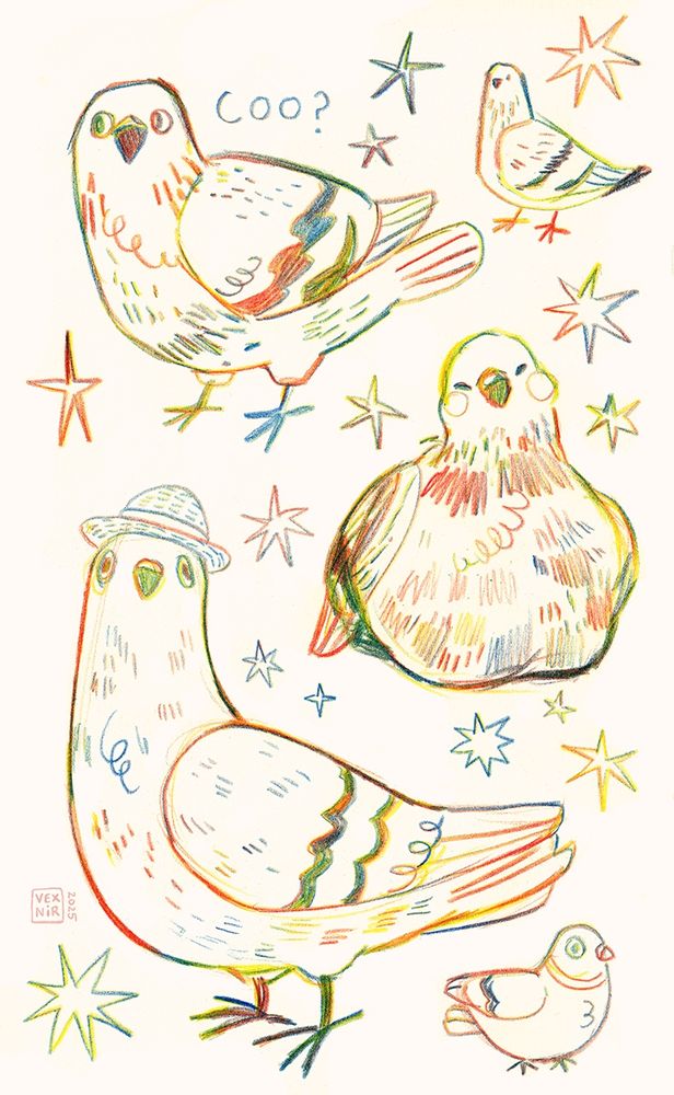 Traditional art - a sketchbook page filled with various drawings of pigeons done with a rainbow pencil