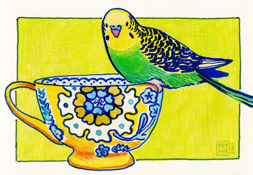 Traditional drawing of a green and yellow budgie sitting on the rim of a colorful, patterned teacup, on a lime green background.