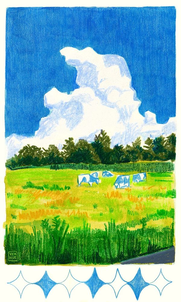 Mixed media traditional drawing of a green field on a bright summer day. Blue cows are grazing in the grass. There’s a big fluffy cloud over the field, and the sky is deep blue. There’s a pattern of scribbly 4-pointed stars below the main drawing.