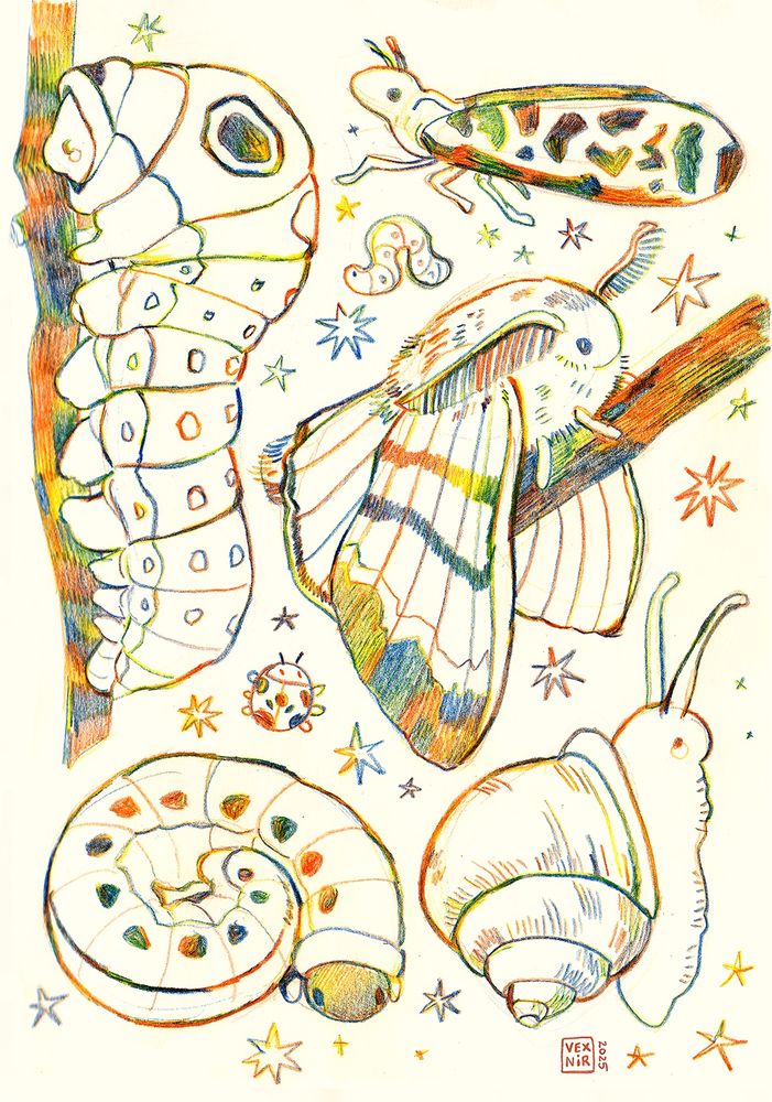 Traditional art. A page filled with cute drawings of various bugs and a critters, made with a rainbow pencil. There’s two caterpillars, a moth, a snail, a tiny ladybug and a tiny worm, and a bug with speckled wings.