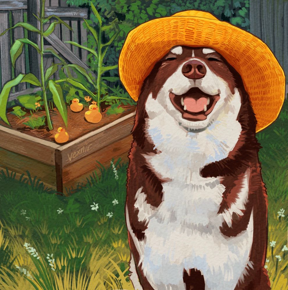 Digital painting of a happy brown and white dog in a yellow straw hat. The background is a garden, there is a wooden planter with some stalks growing in it, and a few yellow duckies sitting in the soil.