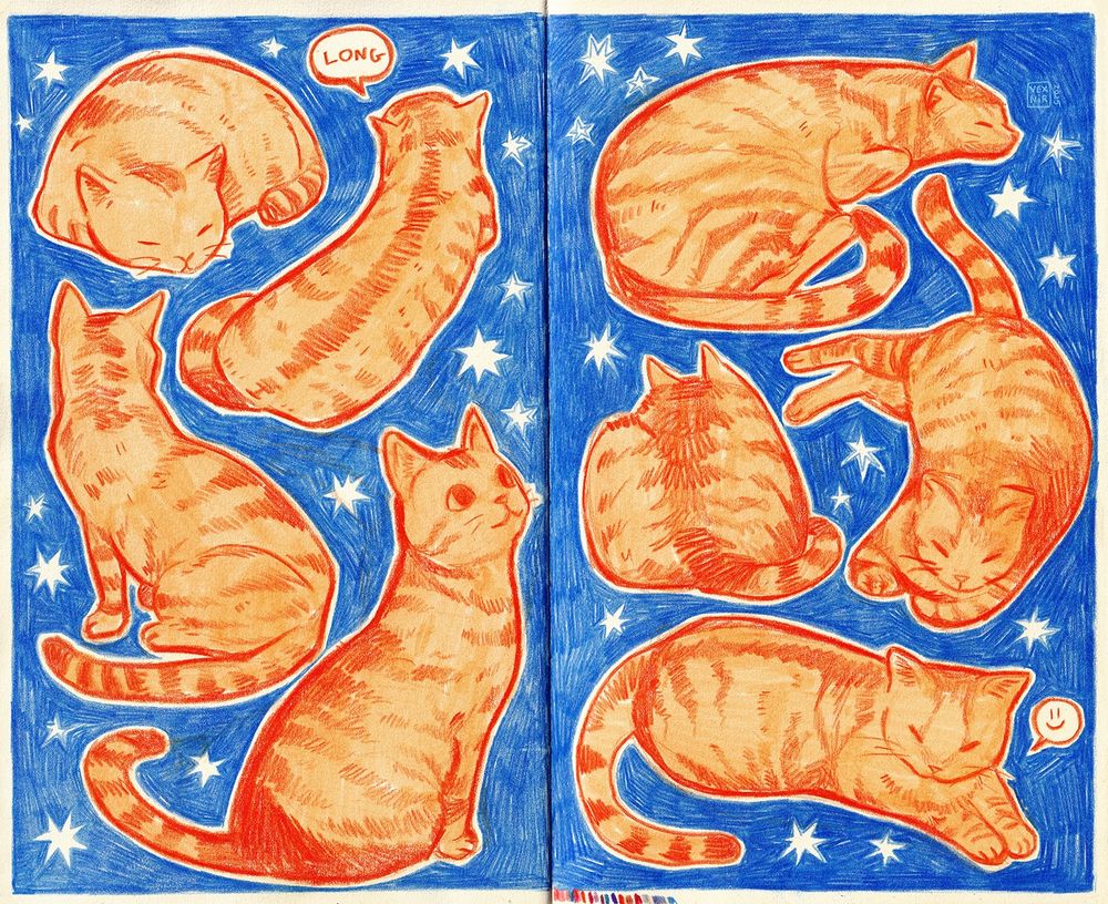 Traditional art. A sketchbook spread with drawings of a tabby cat in various poses, framed by a blue background and little white stars 