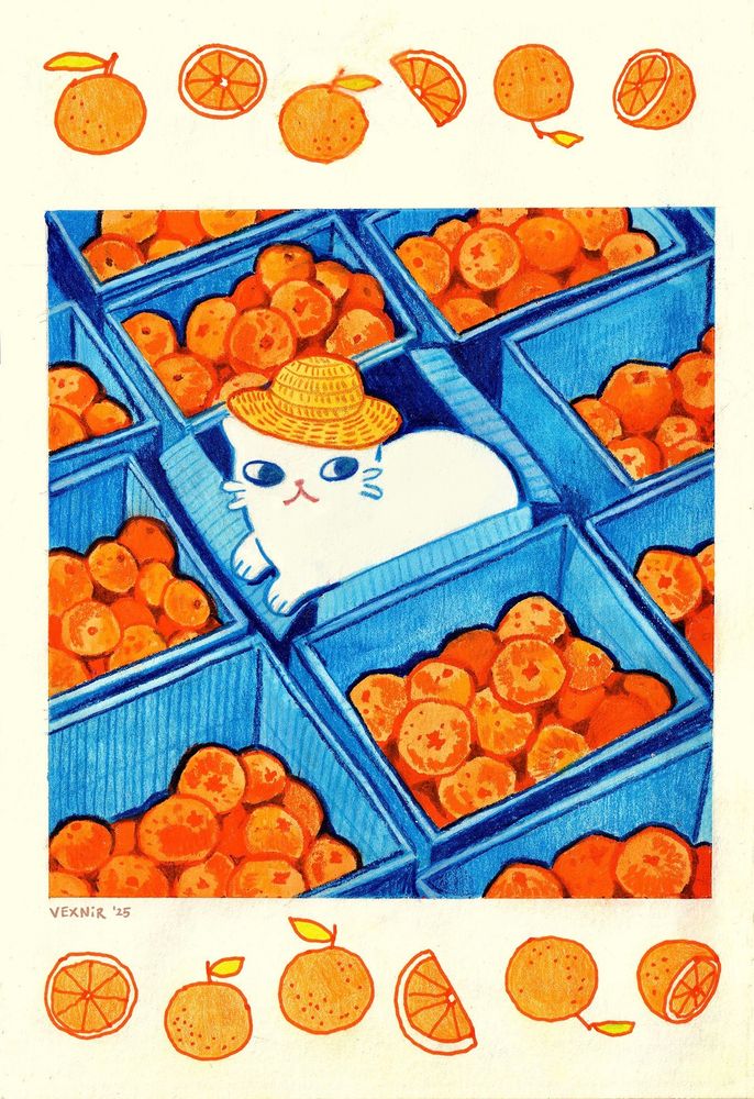 Traditional drawing in mixed media of a white cat with a yellow straw hat sitting inside a blue cardboard box. It’s surrounded with other boxes full of oranges. The drawing is framed with doodles of oranges above and below the main artwork.