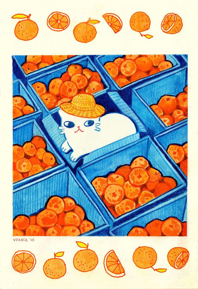 Traditional drawing in mixed media of a white cat with a yellow straw hat sitting inside a blue cardboard box. It’s surrounded with other boxes full of oranges. The drawing is framed with doodles of oranges above and below the main artwork.