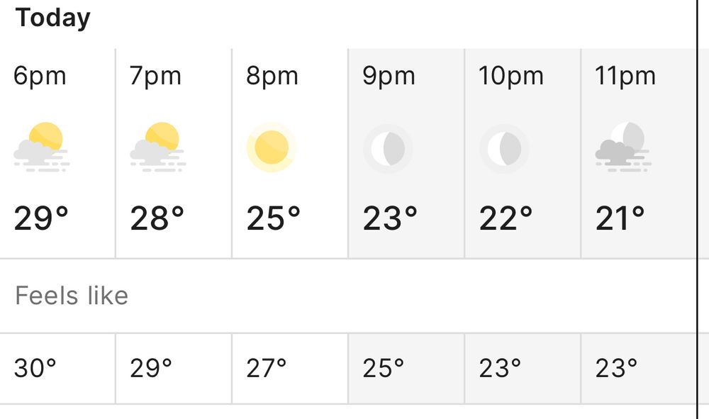 A screenshot from the BoM app showing hourly temperatures for “today”. 6pm is 29°, 7pm is 28°, and 8pm is 25°.