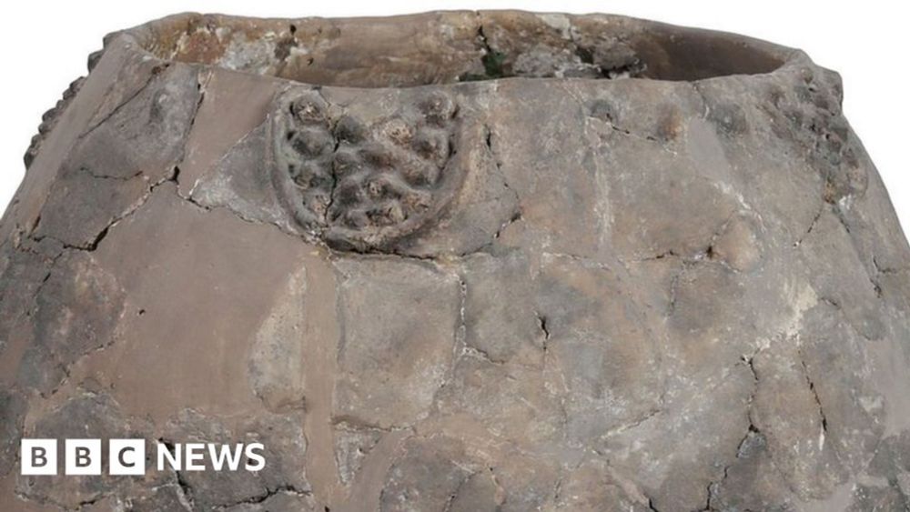 'World's oldest wine' found in 8,000-year-old jars in Georgia