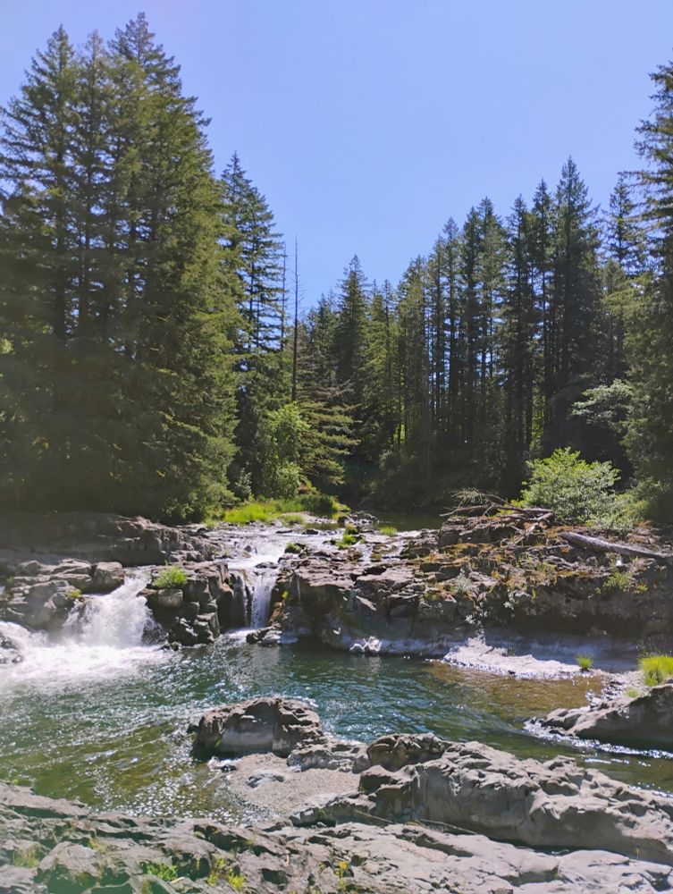 Lucia Falls (on the East Fork Lewis River) at Lucia Falls Regional Park (Clark County, WA).