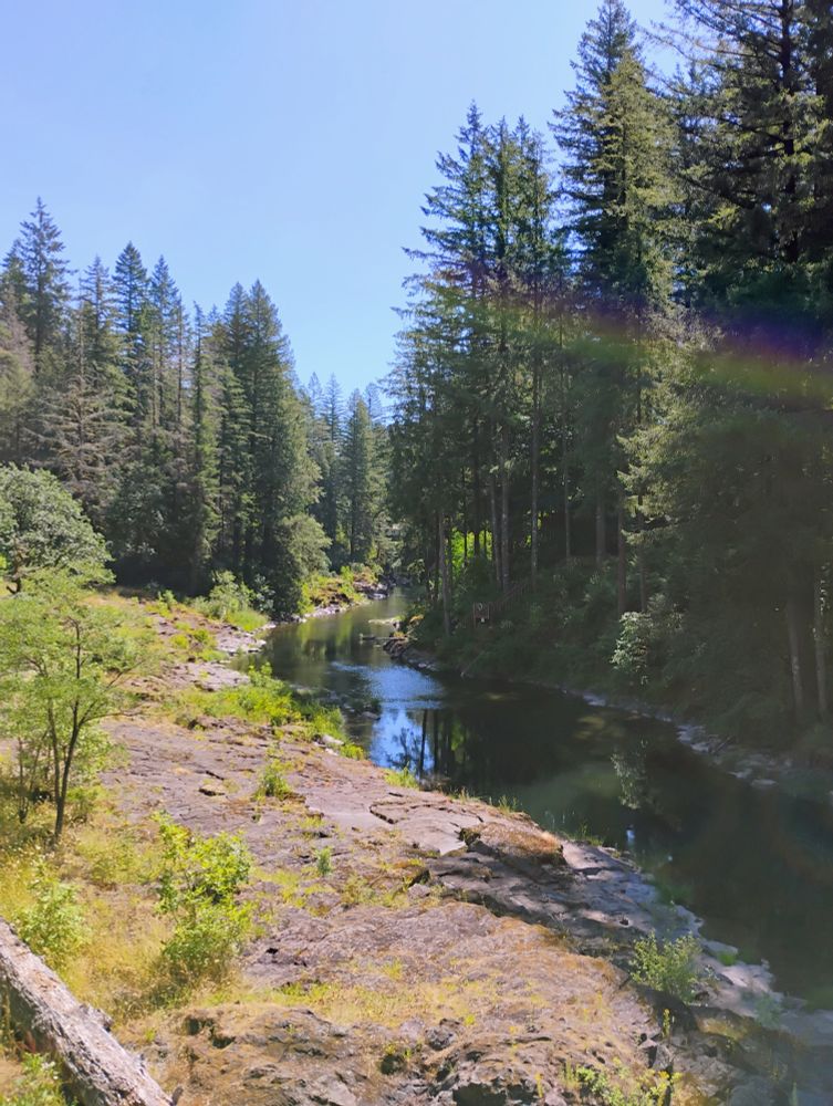 Looking east along the East Fork Lewis River at Lucia Falls Regional Park (Clark County, WA).