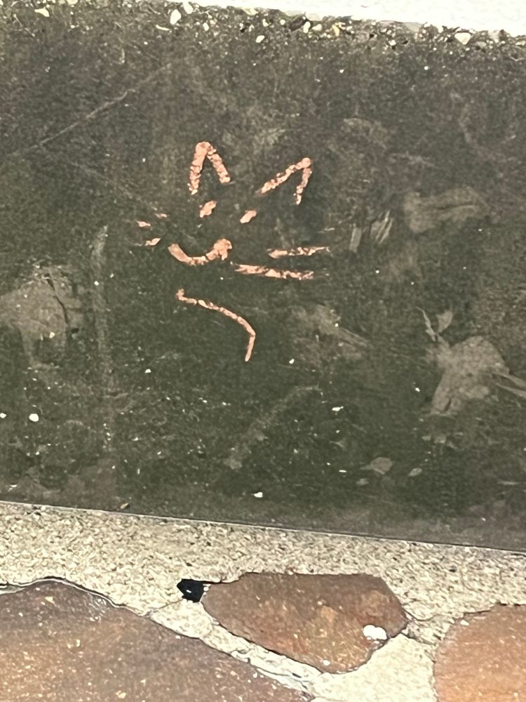 Un gatto stilizzato disegnato su un muro.