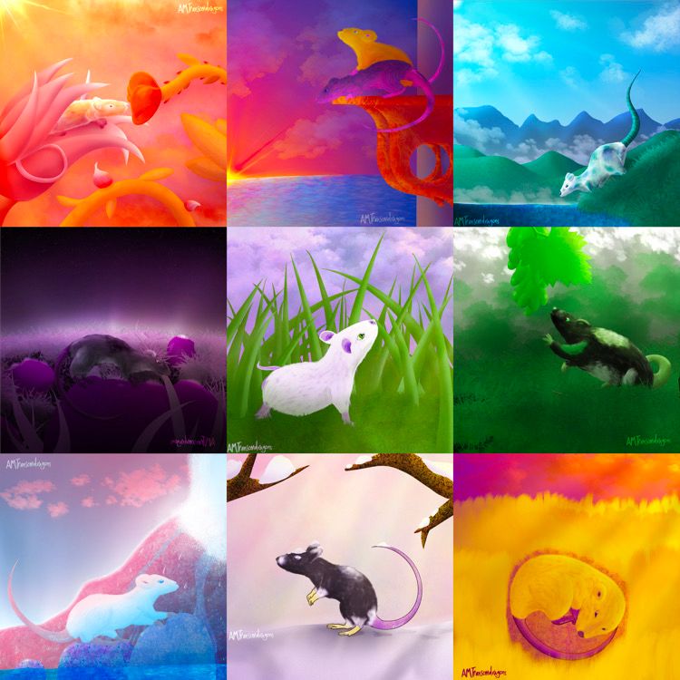 A set of digital art of rats themed to the lesbian, bi and pan, gay mlm, asexual, genderqueer, aro, trans, nonbinary, and intersex pride flags.