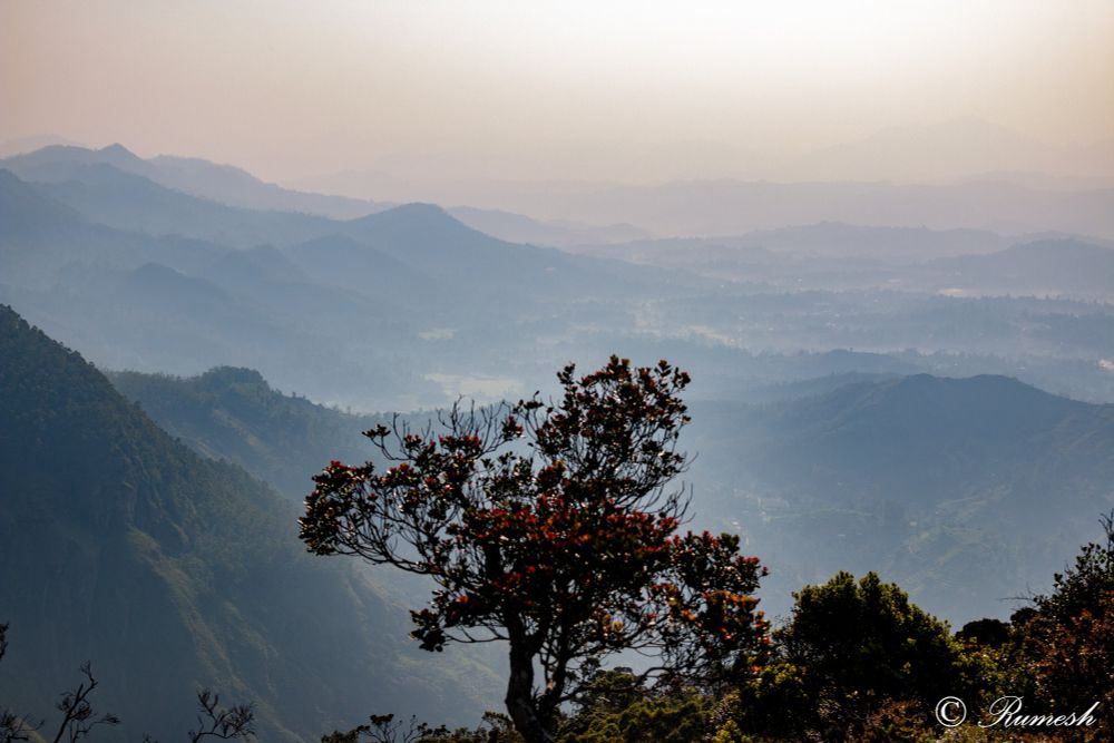 Sunrise in the mountain moon plain Nuwara Eliya Sri Lanka with mist