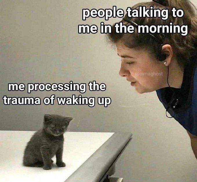 Meme of a tired looking cat and a human.  The caption over the human says "People talking to me in the morning."  The caption on the cat says "Me processing the trauma of waking up"