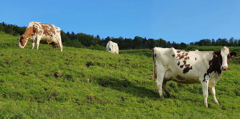 Mosaic grassland landscapes are the most beneficial