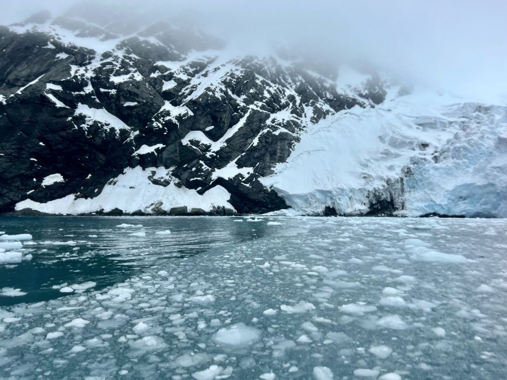Rock covered in snow and ice on Elephant Island in the Antarctic 
