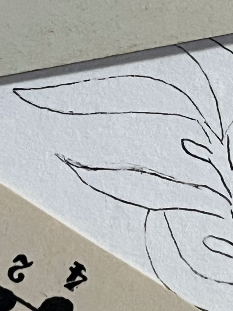 Ink drawing of a few leaves.