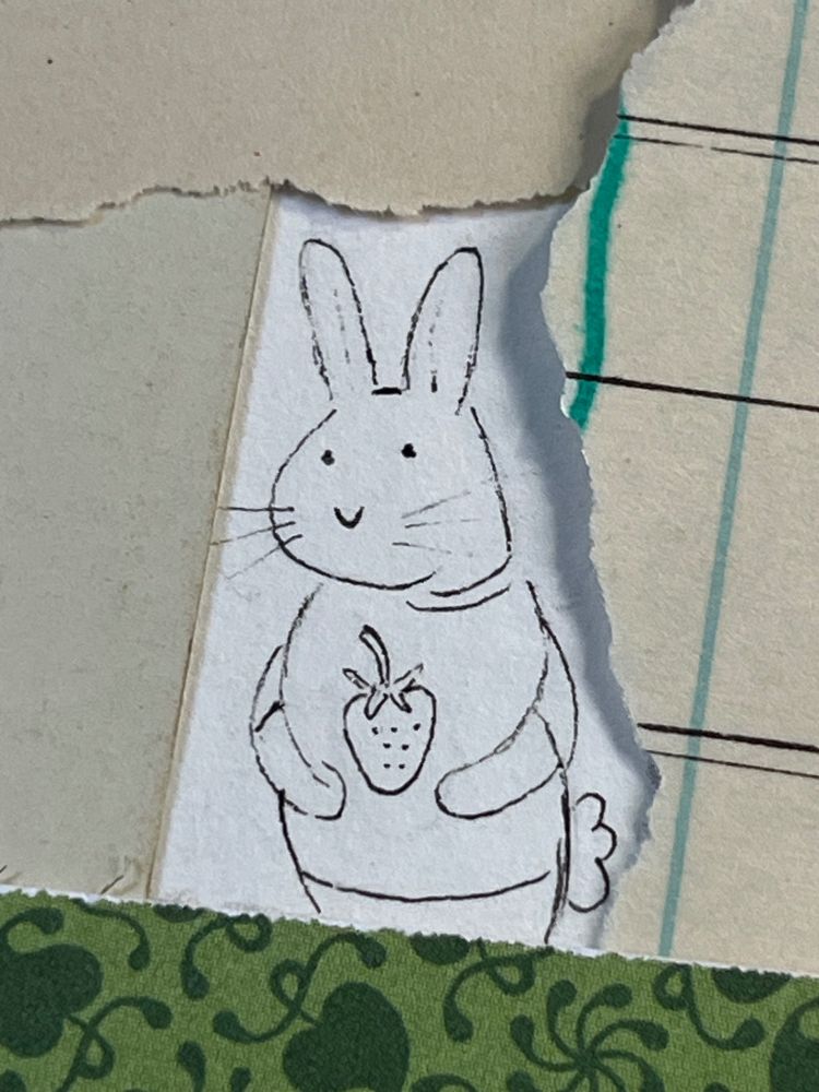 Ink drawing of a bunny wearing a shirt with a strawberry on it.
